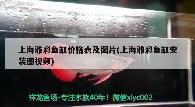 北京白云天水族店