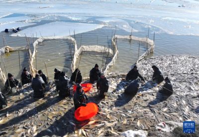 海沙可以放魚缸里養魚嗎（海沙可以放在魚缸里養魚嗎？）