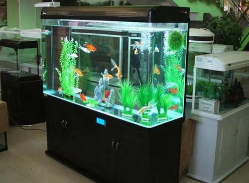 魚缸里的水泵不冒泡了怎么辦：如何正確安裝魚缸氣石