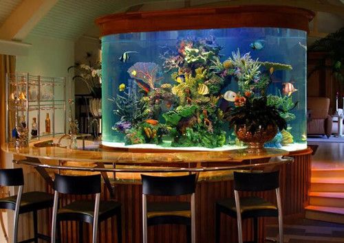 魚缸里的水泵不冒泡了怎么辦：如何正確安裝魚缸氣石