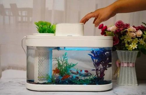 魚缸里的水泵不冒泡了怎么辦：如何正確安裝魚缸氣石