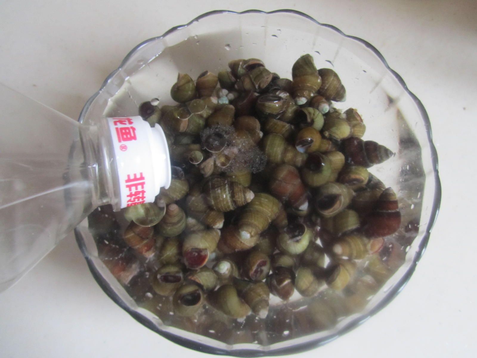 龍魚怎么洗（如何保持龍魚水質穩定，龍魚換水的最佳時機）