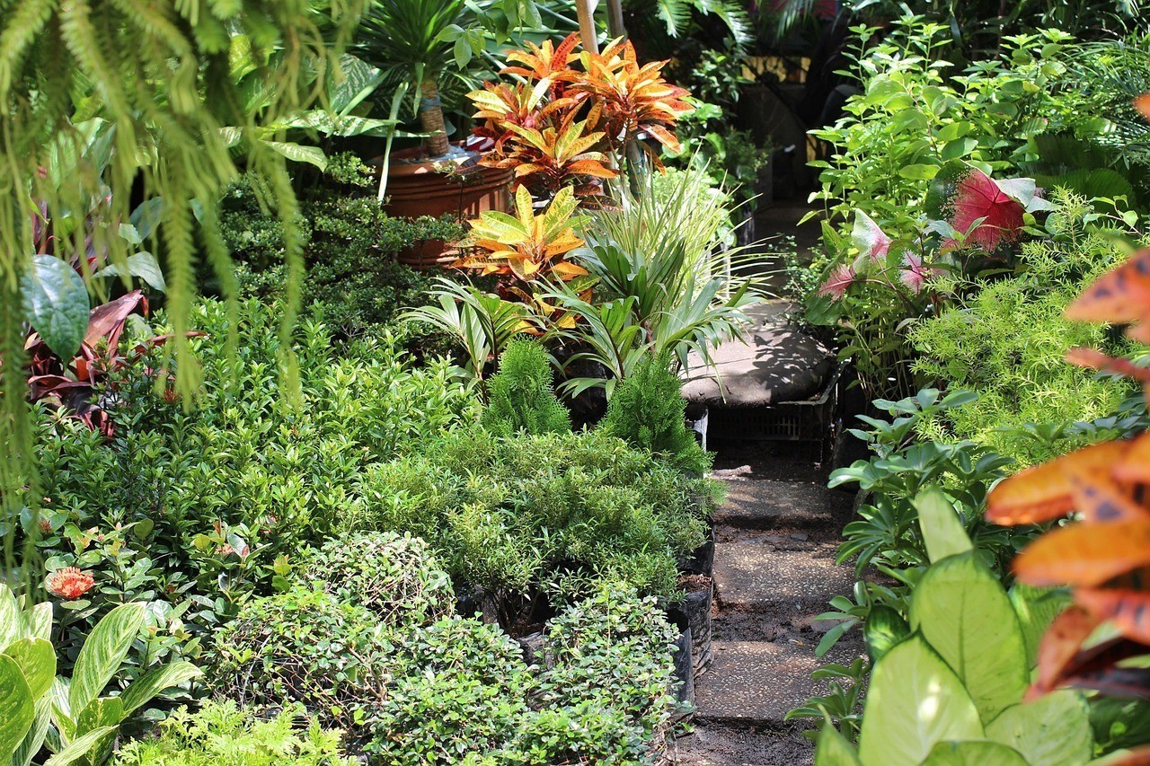 鷹潭沁香園花卉園藝有限公司（鷹潭沁香園花卉園藝有限公司招聘） 鷹潭沁香園花卉園藝有限公司（鷹潭沁香園花卉園藝有限公司招聘） 全國(guó)水族館企業(yè)名錄 第3張