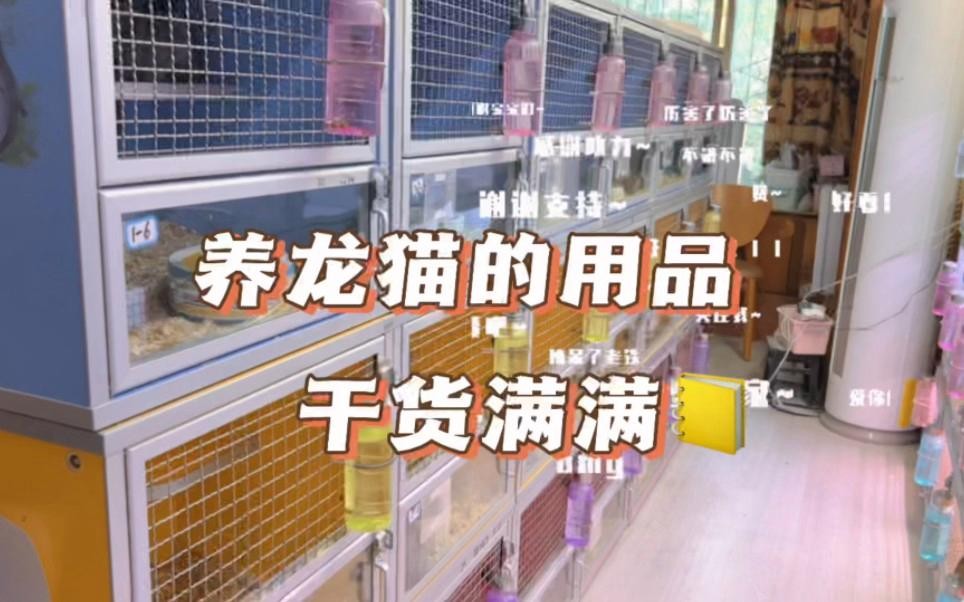 龍貓散養需要哪些特殊設施？ 龍貓散養需要哪些特殊設施？ 龍魚百科 第1張