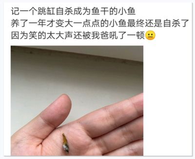 龍魚大口喘氣的原因及解決方法（龍魚大口喘氣怎么辦）