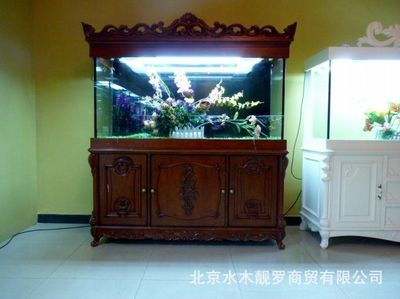 歐式魚缸價格表：歐式魚缸價格區間查詢