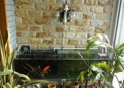 魚缸可以用多少年不漏水（8-10年內不漏水魚缸可以用多少年不漏水）