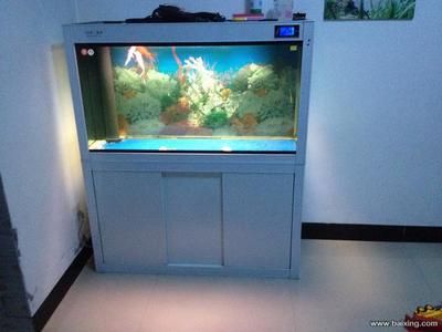 森森魚缸總廠家地址 森森魚缸總廠家地址 魚缸百科 第2張