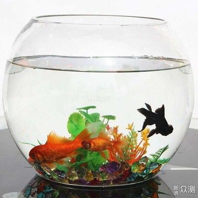 畫家幾何魚缸（智能家居生態鏈的探索）