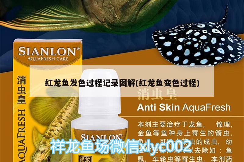 閩清縣白中鎮(zhèn)傳奇水族店 閩清縣白中鎮(zhèn)傳奇水族店 全國水族館企業(yè)名錄 第2張