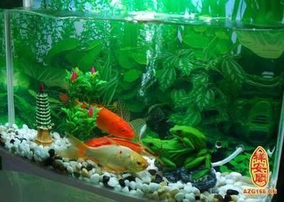 <strong><mark>三河</mark></strong>市魚仙閣水族館（魚仙河村有什么好玩的）