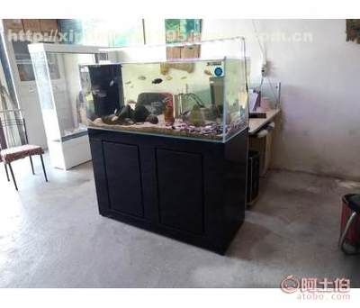 珊瑚礁生態揭秘珊瑚礁生態揭秘珊瑚礁被譽為“海底雨林”：關于海友魚缸的一些評價