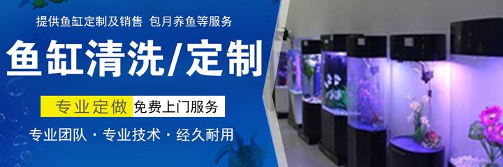 魚(yú)缸百度：養(yǎng)護(hù)魚(yú)缸需要考慮以下幾個(gè)要點(diǎn)魚(yú)缸造景設(shè)計(jì)技巧