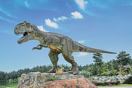 眼鏡蛇雷龍魚壁紙 眼鏡蛇雷龍魚壁紙 龍魚百科 第1張