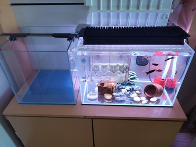 館陶縣景花魚緣水族門市（館陶花店電話）