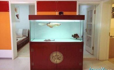 夢 魚缸：《夢魚缸》中夢見魚缸的寓意 夢 魚缸：《夢魚缸》中夢見魚缸的寓意 魚缸百科 第5張