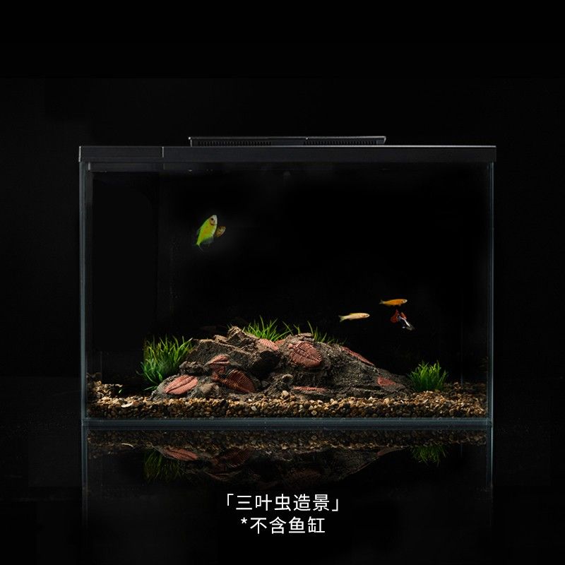 夢 魚缸：《夢魚缸》中夢見魚缸的寓意 夢 魚缸：《夢魚缸》中夢見魚缸的寓意 魚缸百科 第1張