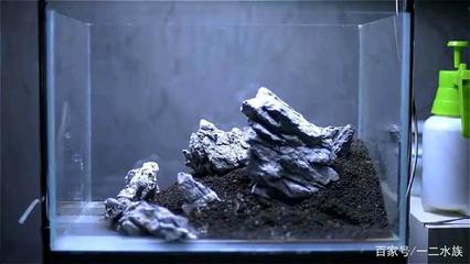 金橋開(kāi)發(fā)區(qū)暖魚(yú)閣觀賞魚(yú)經(jīng)銷店