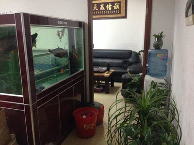 康縣城關鎮百花錦磷店