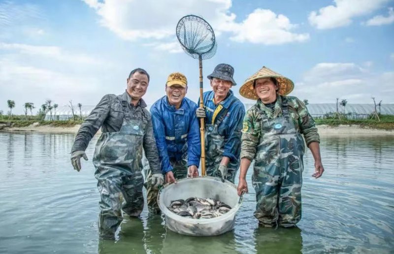 南京龍魚批發市場在哪里啊多少錢一斤