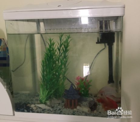 魚缸制氧機使用方法，如何判斷魚缸缺氧