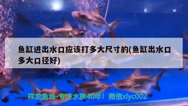 魚缸進出水口應該打多大尺寸的(魚缸出水口多大口徑好)