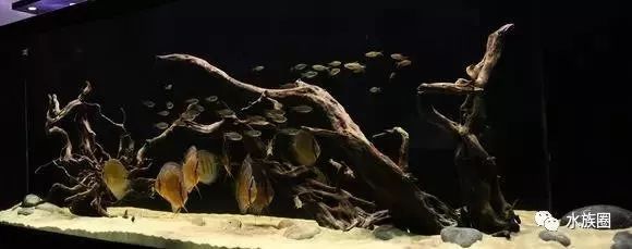 海沙魚缸造景圖（關(guān)于海沙魚缸造景圖的問(wèn)題）