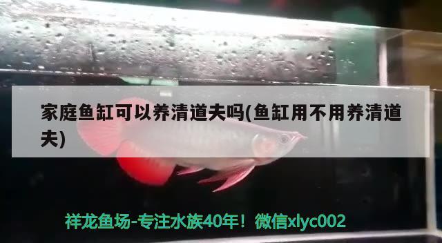 沈陽哪里有賣魚缸的店?。ǎ?001?沈陽）在圓形魚缸里養的魚，看）