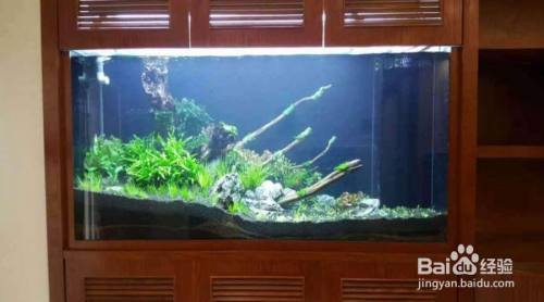 atman魚缸水泵怎樣安裝（atman魚缸水泵安裝步驟）