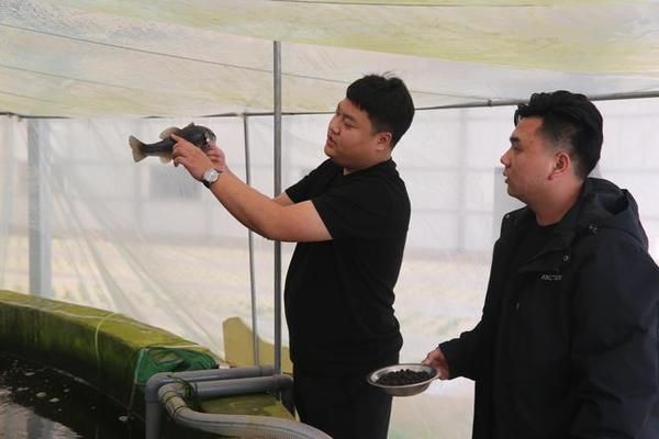 定興縣有多家店鋪銷售魚缸及相關水族產(chǎn)品的銷售服務：定興縣多家店鋪銷售魚缸及相關水族產(chǎn)品