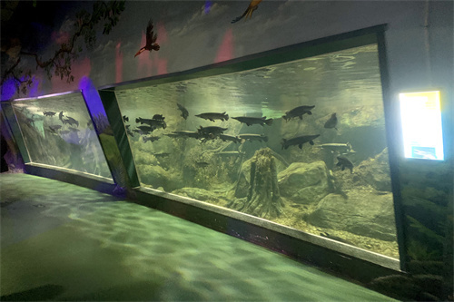 鐘山區建勇土特產店 鐘山區建勇土特產店 全國水族館企業名錄