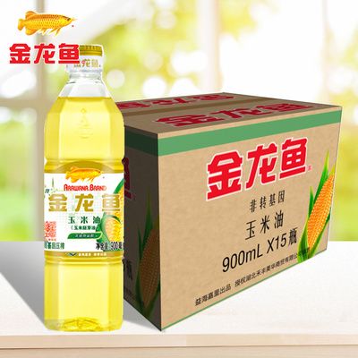 金龍魚有黑色的嗎 金龍魚有黑色的嗎 龍魚百科 第3張