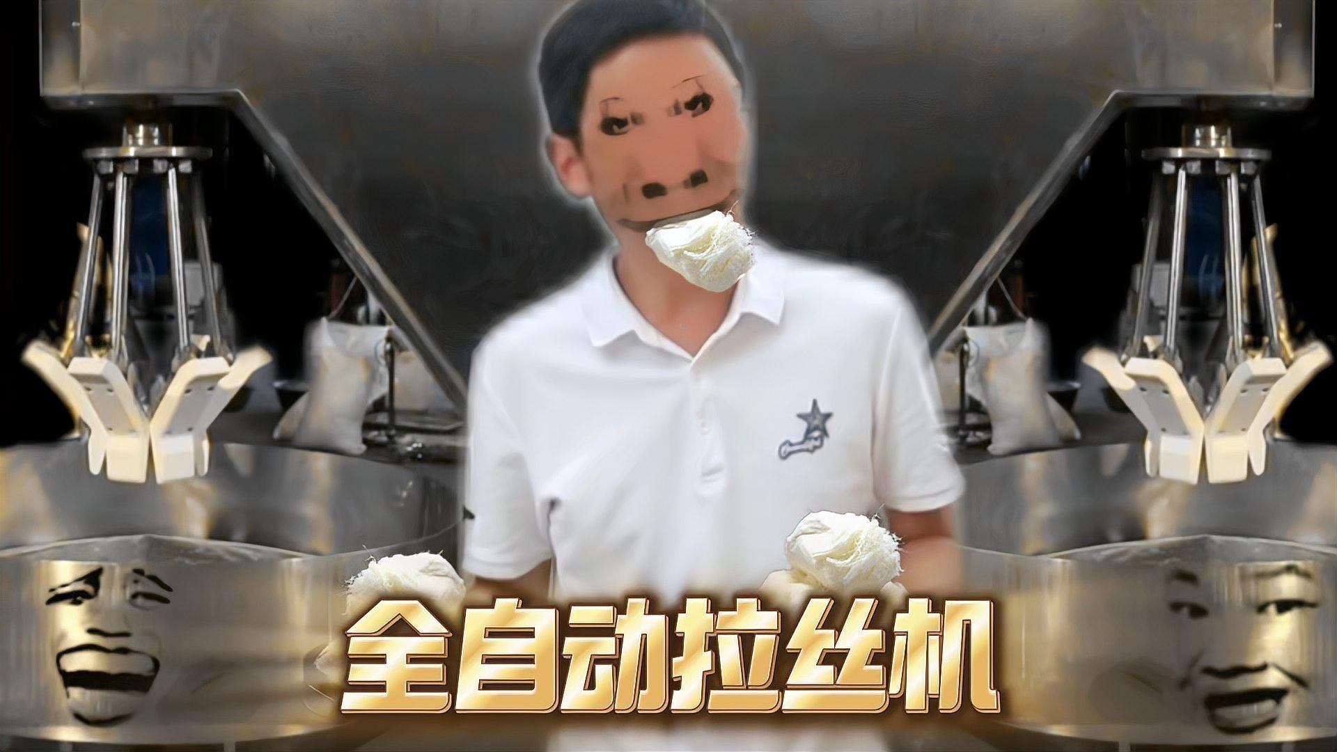 龍須貓適合哪些人群飼養(yǎng)？ 龍須貓適合哪些人群飼養(yǎng)？ 龍魚百科 第1張
