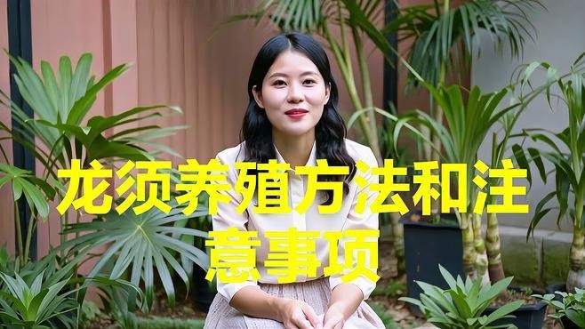 龍須貓適合哪些人群飼養(yǎng)？ 龍須貓適合哪些人群飼養(yǎng)？ 龍魚百科 第5張