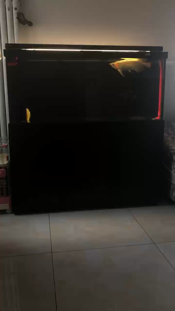 不行整個水族開吧