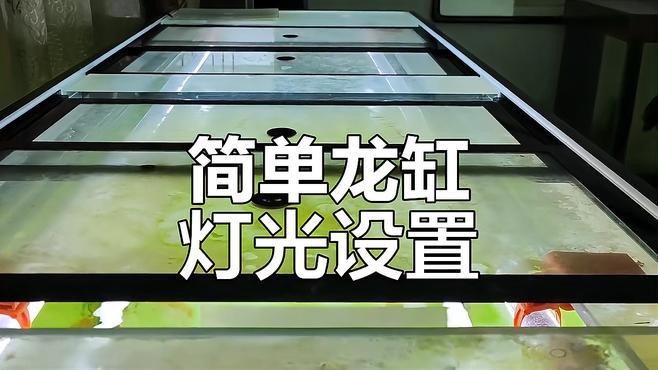如何調(diào)整龍魚(yú)燈光角度