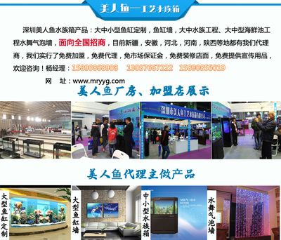 魚缸報價：魚缸報價指南
