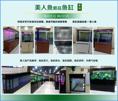 魚缸報價：魚缸報價指南