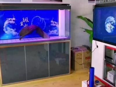 森森魚缸的安裝（森森魚缸安裝）