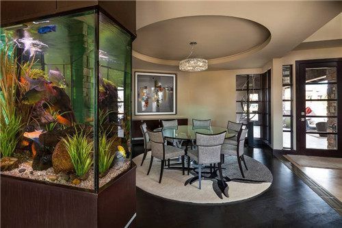工作室魚缸風(fēng)水布局優(yōu)化：辦公室魚缸擺放位置及其風(fēng)水意義