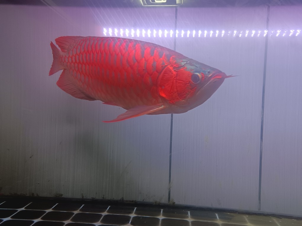 半夜睡不著，來自拍