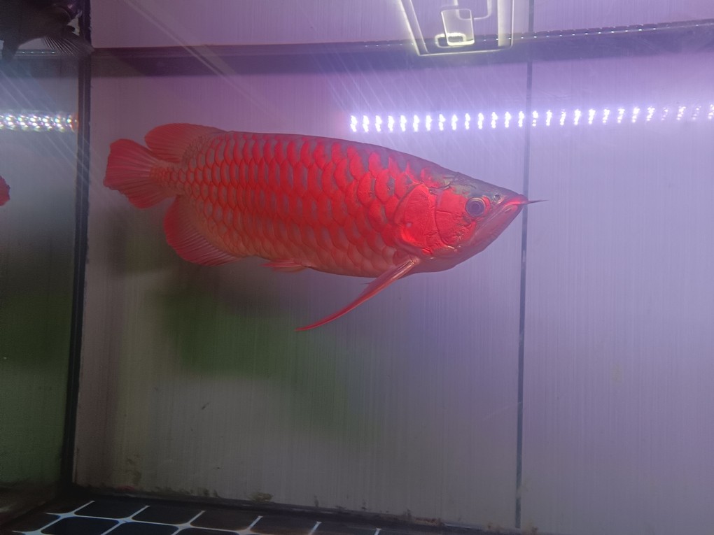 半夜睡不著，來自拍