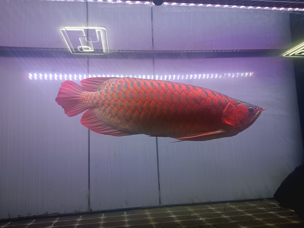 半夜睡不著，來自拍