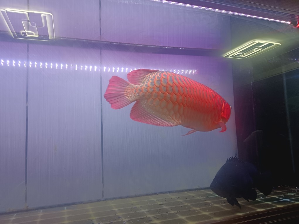 半夜睡不著，來自拍