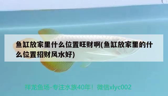 棗莊市薛城區海洋水族店 棗莊市薛城區海洋水族店 全國水族館企業名錄 第3張