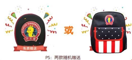 小龍魚英語怎么說：\"在英文中可以翻譯為\" 小龍魚英語怎么說：\"在英文中可以翻譯為\" 龍魚百科