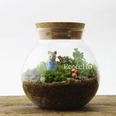 創意生態瓶（創意微景觀生態瓶的制作與養護）