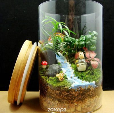創意生態瓶（創意微景觀生態瓶的制作與養護）