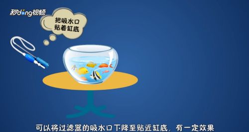 魚缸里的魚便怎么辦，如何自制魚缸吸便工具 魚缸里的魚便怎么辦，如何自制魚缸吸便工具 龍魚百科 第3張