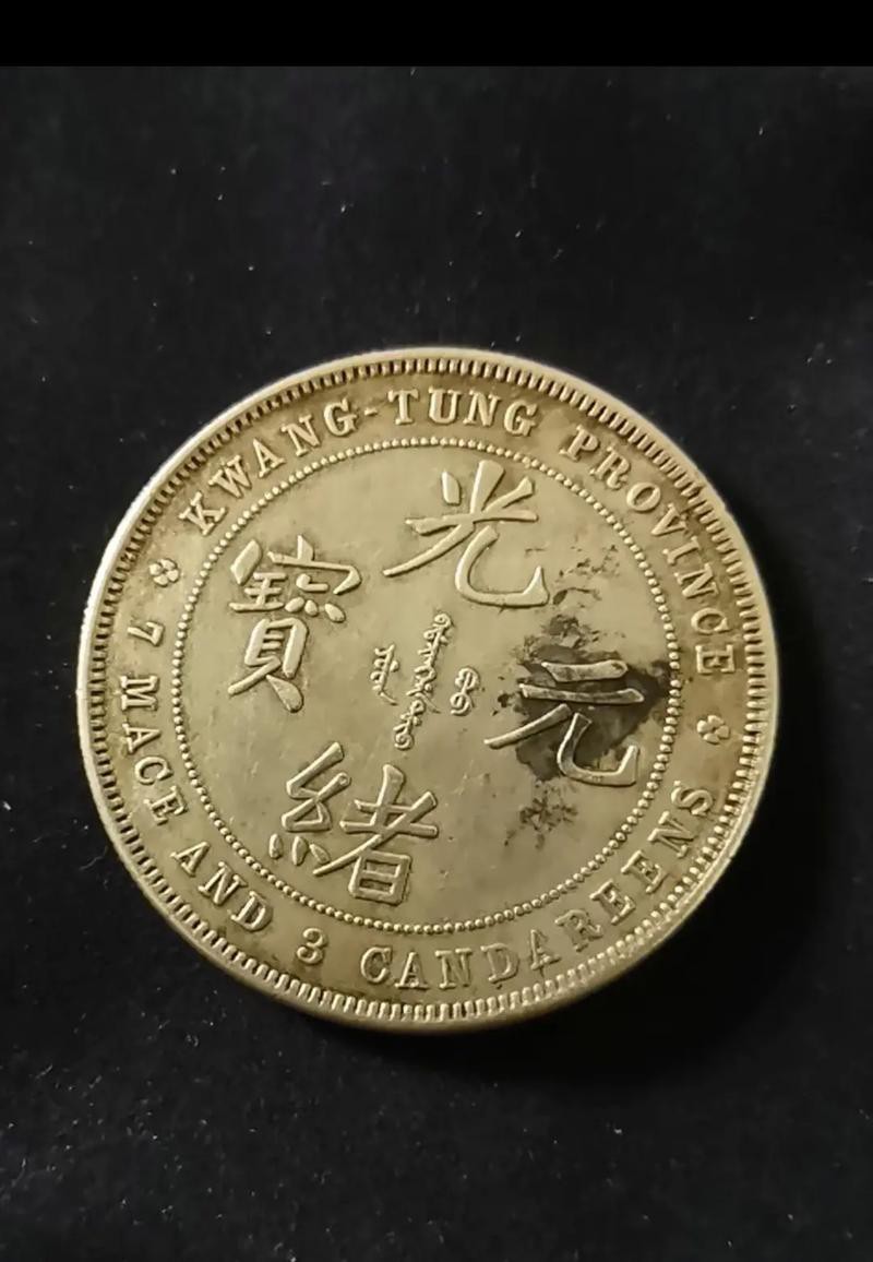 單龍銀元收藏有哪些熱門品種？ 單龍銀元收藏有哪些熱門品種？ 龍魚百科 第2張